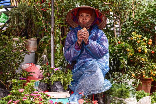 Người lao động ở Hà Nội trùm áo mưa, run rẩy mưu sinh trong giá rét 12°C