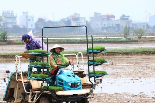 Phú Xuyên phát động xuống đồng đầu năm