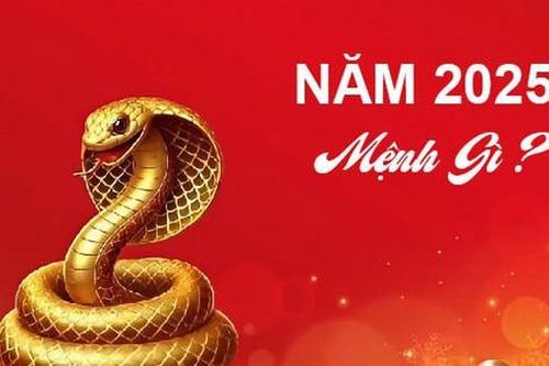 Năm 2025 mệnh gì, hợp với tuổi nào, đâu là màu sắc mang lại may mắn?