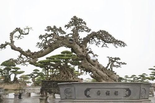 Ngắm loạt tác phẩm tiền tỷ được trưng bày ở đền Trần Nam Định trước ngày khai hội
