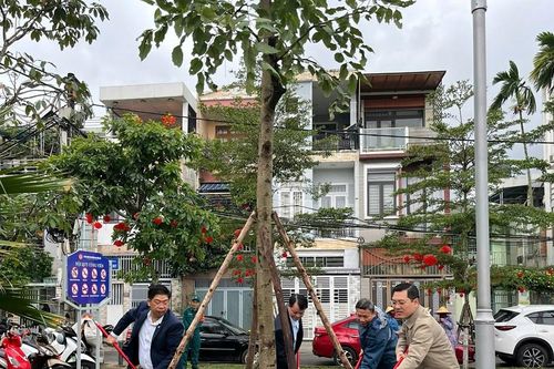 Lễ phát động 'Tết trồng cây đời đời nhớ ơn Bác Hồ'