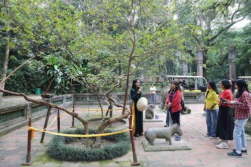 Du xuân về với Lam Kinh