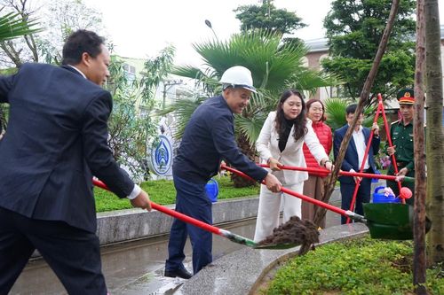 Hải Châu phát động Tết trồng cây: Hàng trăm chậu cây xanh đến tay người dân