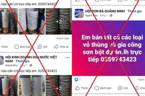 Thái Bình: Khởi tố, bắt tạm giam đối tượng lừa đảo bán sơn trên không gian mạng
