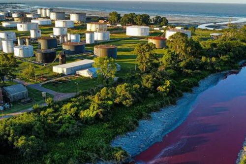 Dòng sông bất ngờ chuyển sang màu đỏ đáng sợ ở Argentina