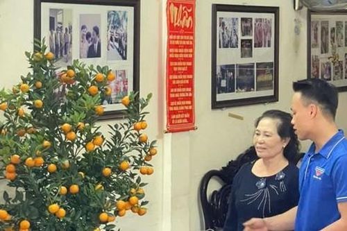 Người dân Đà Nẵng tặng quất Tết để phủ xanh công viên
