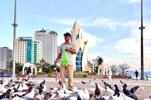 'Bảo mẫu' nuôi chim bồ câu ở Quảng trường 2/4 Nha Trang