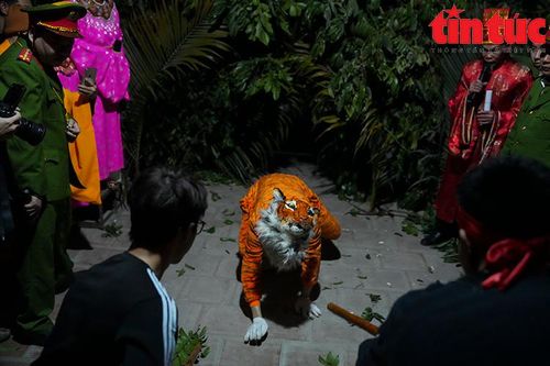 Đổ xô xem hội trai tráng làng La Cả đánh hổ