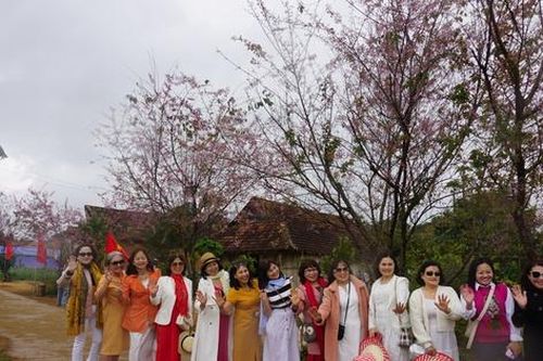 Du khách ngẩn ngơ ngắm sắc hoa đào rực rỡ ở Bình Định