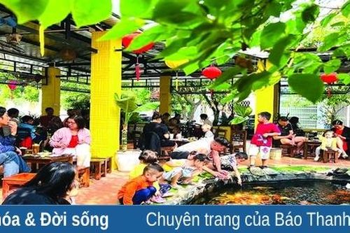 'Có hẹn' với... cà phê cá koi