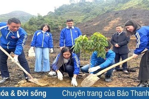 Tuổi trẻ Đoàn Khối Cơ quan Đảng, đoàn thể, nội chính, sự nghiệp ra quân Tết trồng cây