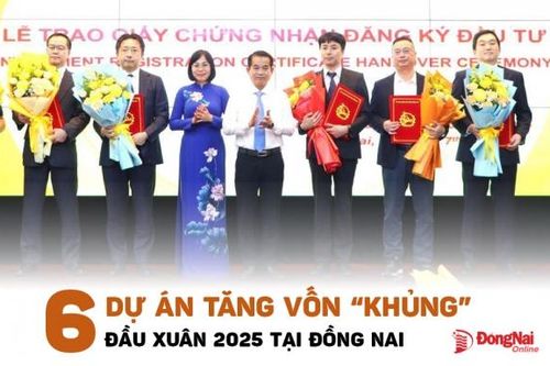 [Infographic] Đồng Nai có 6 dự án tăng vốn 'khủng' ngay từ đầu năm 2025