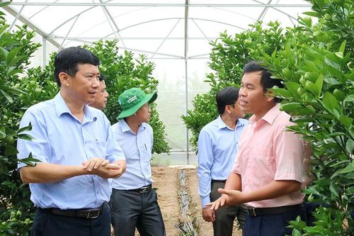 Kỳ 4: Tự lực - cơ sở của sự độc lập và thích ứng trong giai đoạn mới