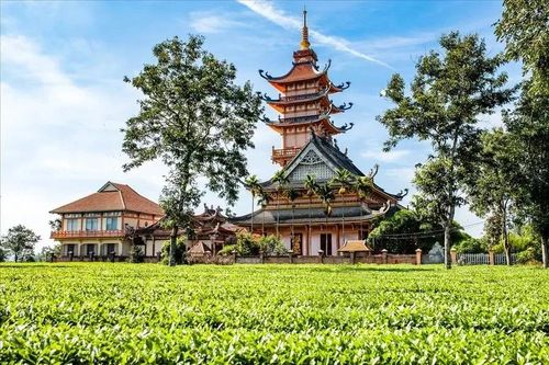 Vọng tiếng chuông ngân