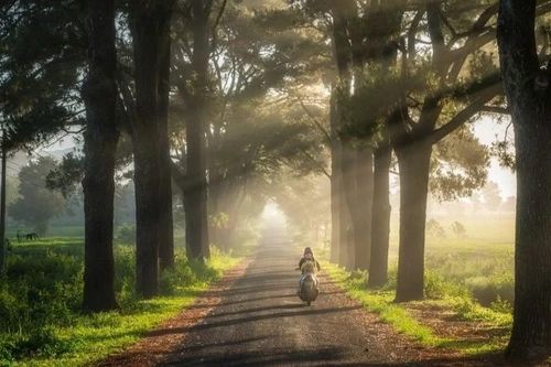 Gia Lai: Không khí lạnh sẽ tiếp tục kéo dài