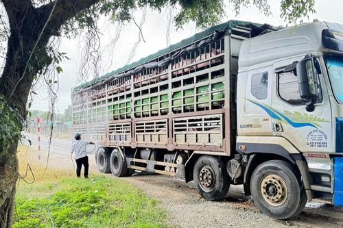 Gia Lai triển khai Đề án về nâng cao hiệu quả thực thi Hiệp định SPS