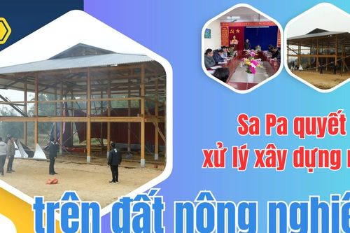 Sa Pa quyết liệt xử lý xây dựng nhà trên đất nông nghiệp