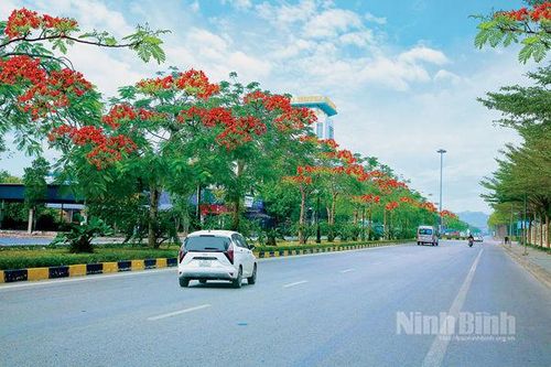 Trồng cây, gây rừng vì một Ninh Bình xanh
