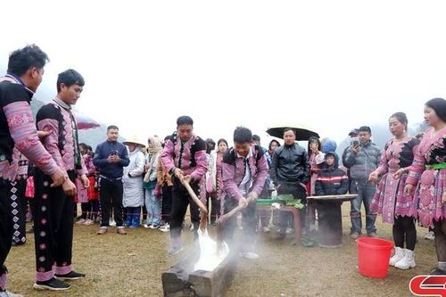Đặc sắc Ngày hội hoa đào Lóng Luông