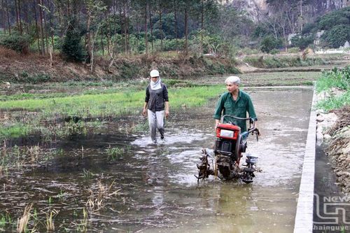 Tiết kiệm nguồn nước trong nông nghiệp