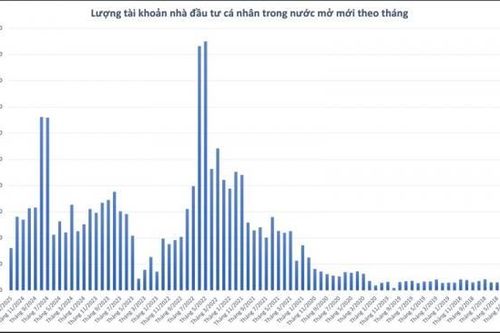 81.000 tài khoản chứng khoán mở mới tháng đầu năm 2025