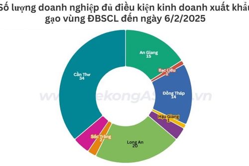 Những địa phương vùng ĐBSCL có nhiều doanh nghiệp xuất khẩu gạo nhất