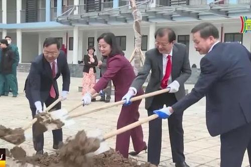 Giữ nét đẹp 'Tết trồng cây'