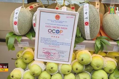 Hà Nội cấp giấy chứng nhận 108 sản phẩm OCOP 4 sao