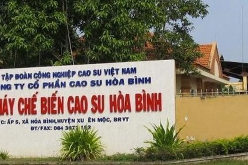 Cao su Hòa Bình (HRC) thay đổi Chủ tịch Hội đồng quản trị