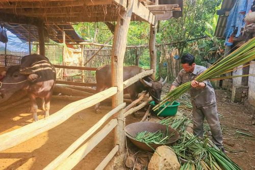 Quảng Hòa thực hiện tốt công tác giảm nghèo