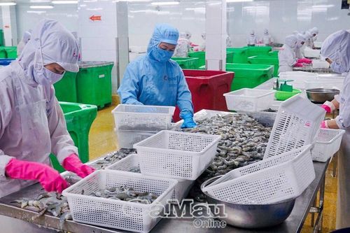 Doanh nghiệp kỳ vọng trong năm mới