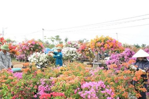 Phát triển nông nghiệp xanh, sinh thái: Giải tỏa vướng mắc về chính sách