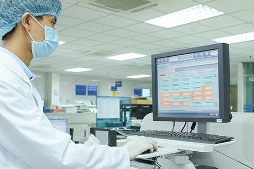 Các đơn vị trực thuộc Bộ Y tế chịu trách nhiệm nếu để xảy ra chậm trễ, gây khó khăn cho người dân về thủ tục hành chính