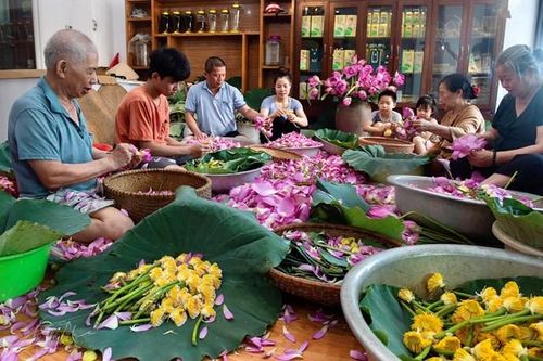 Bên Hồ Tây nói chuyện trà sen
