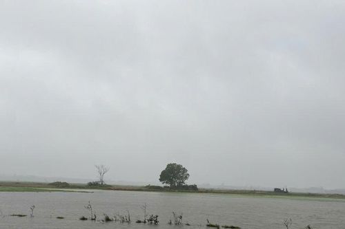 Quảng Trị: Khoảng 2.400ha lúa Đông Xuân bị ngập nước