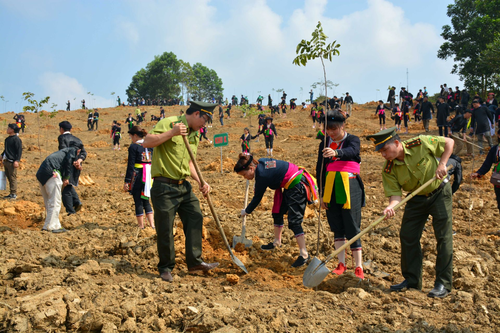 Đối thoại chủ nhật: Trồng cây, trồng rừng, góp phần ứng phó với biến đổi khí hậu