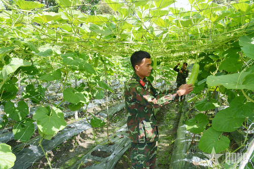 Sư đoàn 5 (Quân khu 7) sẵn sàng tiếp nhận, huấn luyện chiến sĩ mới