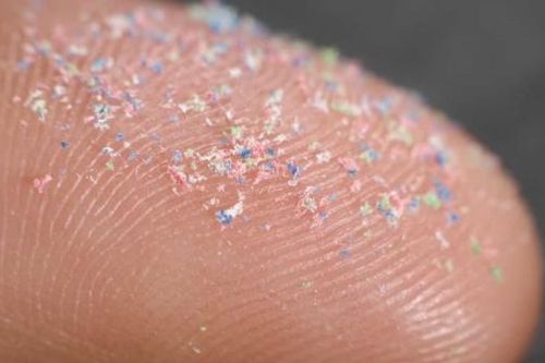 Phát hiện mới về vi nhựa trong não người