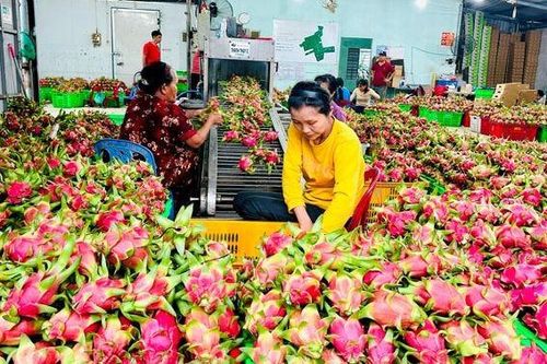Để có những vụ mùa bội thu