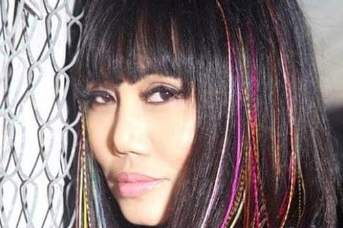 Lời khuyên của luật sư dành cho ca sĩ Lynda Trang Đài sau cáo buộc trộm cắp