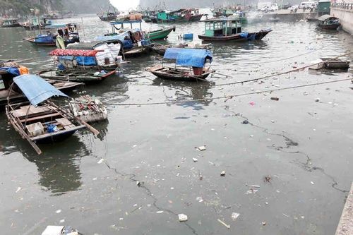 Gợi ý của ban giám khảo về nội dung viết thư UPU lần thứ 54