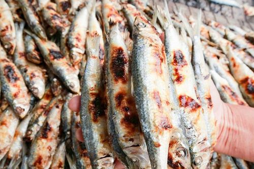 Đầu năm, làng biển Nghệ An đỏ lửa nướng cá