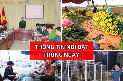 Nghệ An: Thông tin nổi bật ngày 9/2