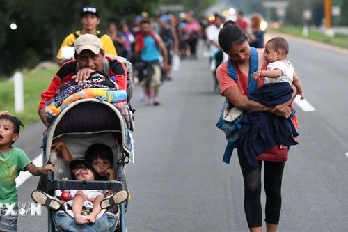 Tổng thống Trump giận dữ vì ICE không đạt 'chỉ tiêu' bắt người nhập cư trái phép