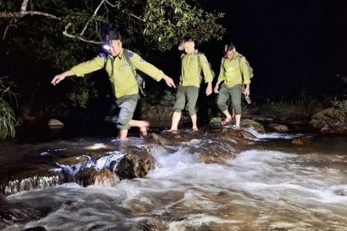 Trắng đêm canh giữ rừng giáng hương cổ thụ ở Gia Lai