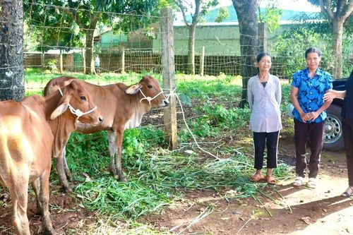 Nhân rộng nhiều mô hình giúp người dân thay đổi nếp nghĩ, cách làm
