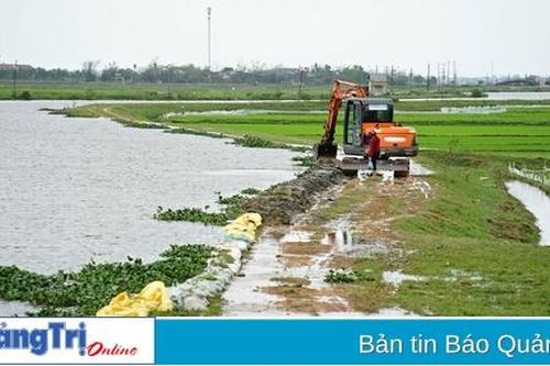Gần 3.550 ha lúa đang ở giai đoạn đẻ nhánh bị ngập úng