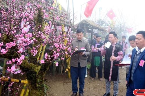 Không gian văn hóa tại Ngày hội hoa đào xã Lóng Luông