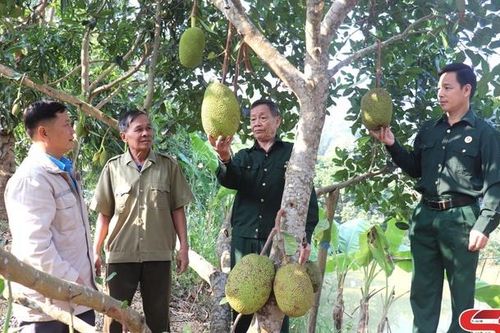 Vai trò nêu gương của hội viên cựu chiến binh trong xây dựng nông thôn mới