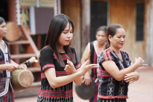 Thanh âm của núi rừng